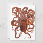 タコ・マクロプス、ビンテージ海洋水生動物 (正面)