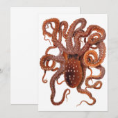 タコ・マクロプス、ビンテージ海洋水生動物 (正面/裏面)