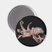 タコ・ワイルドタン マグネット (正面/裏面)