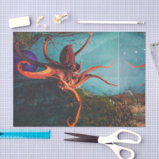 タコ 薄葉紙 (クラフト)