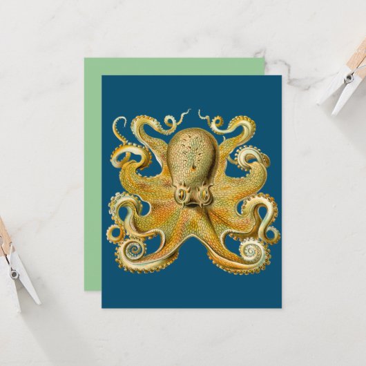 タコ – Ernst Haeckel's カード (正面/裏面インサイチュ)