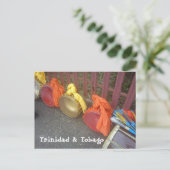 タサス、トリニダード・トバゴ ポストカード (スタンド正面)
