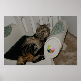 タシャベア ポスター