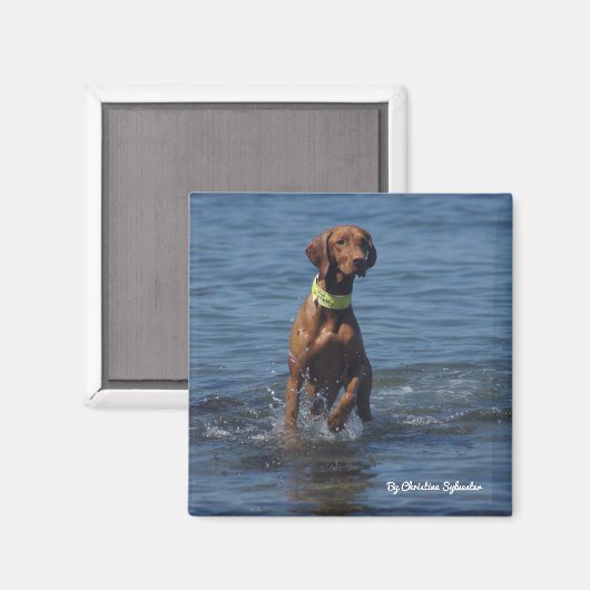 タシャ1 マグネット (正面/裏面)