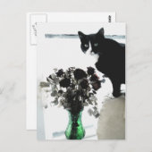 タシャ・ザ・タキシード猫 ポストカード (正面/裏面)