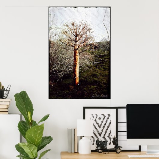 タジキスタンのドライフェラ植物 ポスター (ホームオフィス)