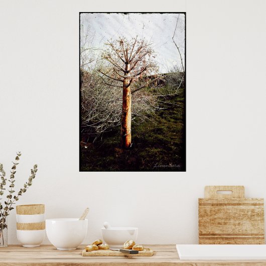 タジキスタンのドライフェラ植物 ポスター (キッチン)