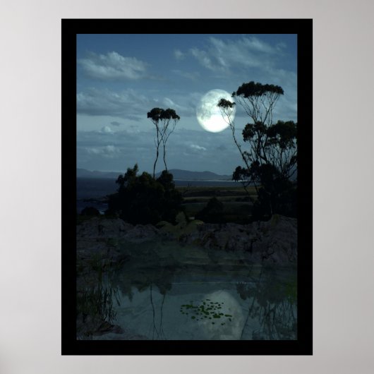 タジー木 ポスター (正面)