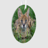 タジ – オーナメント (正面)