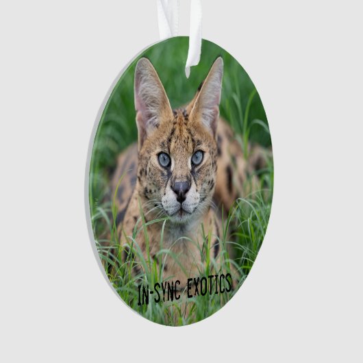 タジ –  オーナメント (正面)