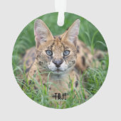 タジ –  オーナメント (裏面)