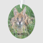 タジ – オーナメント (正面)