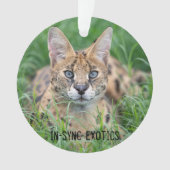 タジ – オーナメント (正面)