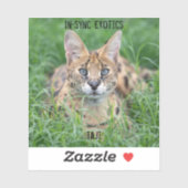 タジ –  シール (シート)