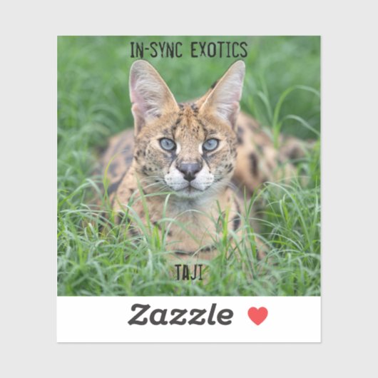 タジ – シール (シート)