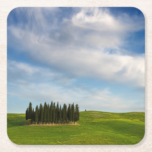 タスカニーのコースターのヌマスギ スクエアペーパーコースター (正面)