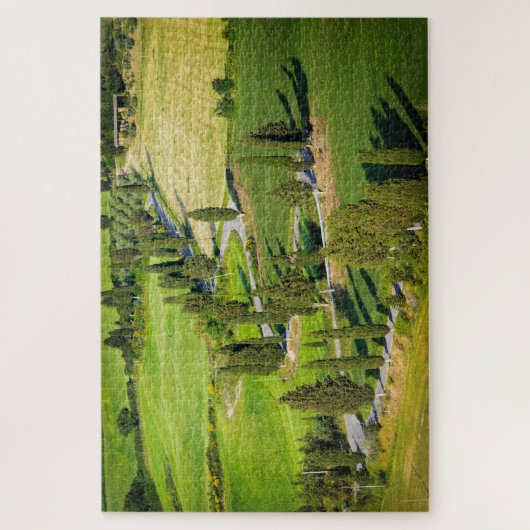 タスカニーのヌマスギが付いている曲がりくねった道 ジグソーパズル (縦)