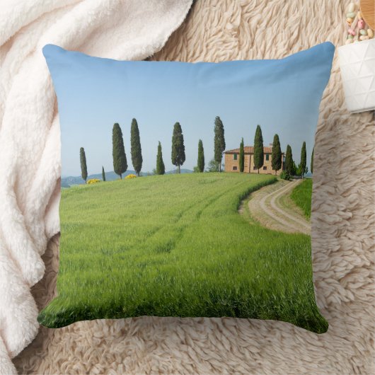 タスカニーのヌマスギが付いている農場の別荘 クッション (ブランケット)