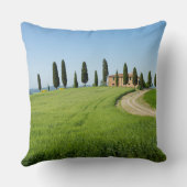 タスカニーのヌマスギが付いている農場の別荘 クッション (裏面)