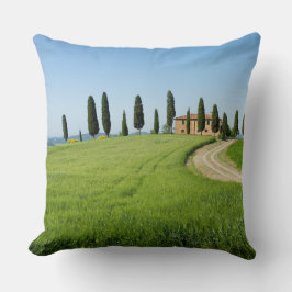 タスカニーのヌマスギが付いている農場の別荘 クッション