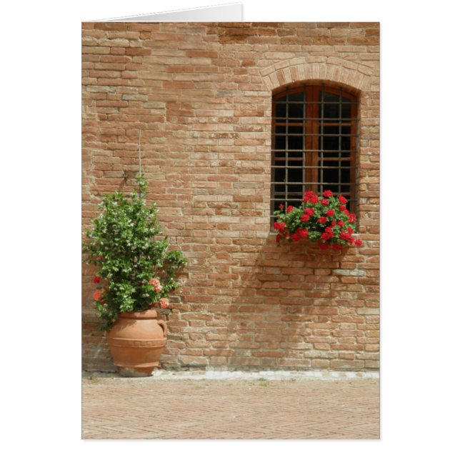 タスカニーのポット植物 (正面)