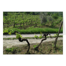 タスカニーのワインの地域イタリアのChiantiのブドウ園