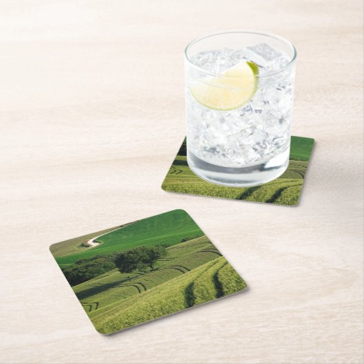 タスカニーの緑のコースターの曲線ライン スクエアペーパーコースター (インサイチュ)