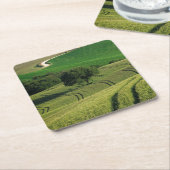 タスカニーの緑のコースターの曲線ライン スクエアペーパーコースター (アングル)