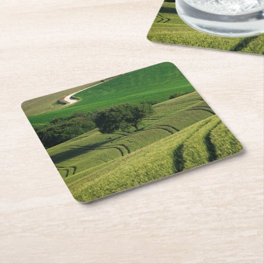 タスカニーの緑のコースターの曲線ライン スクエアペーパーコースター (アングル)