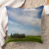 タスカニーの装飾用クッションのヌマスギ クッション (ブランケット)