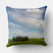 タスカニーの装飾用クッションのヌマスギ クッション (裏面)