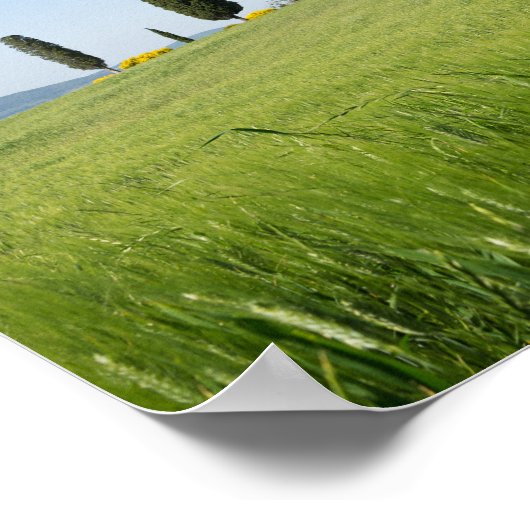 タスカニーの農家とサイプレスのポスター ポスター (角)