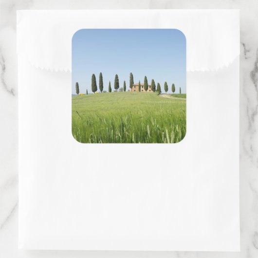 タスカニーの農家とヒノキのシール スクエアシール (バッグ)