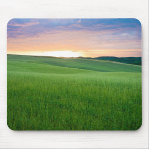 タスカニーのmousepadの日没 マウスパッド