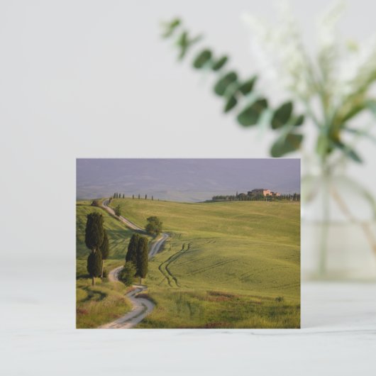 タスカニー葉書のテラピールへの道 ポストカード (スタンド正面)