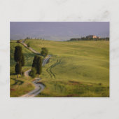 タスカニー葉書のテラピールへの道 ポストカード (正面)