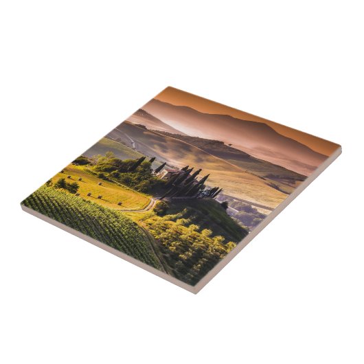 タスカニー タイル (側面)