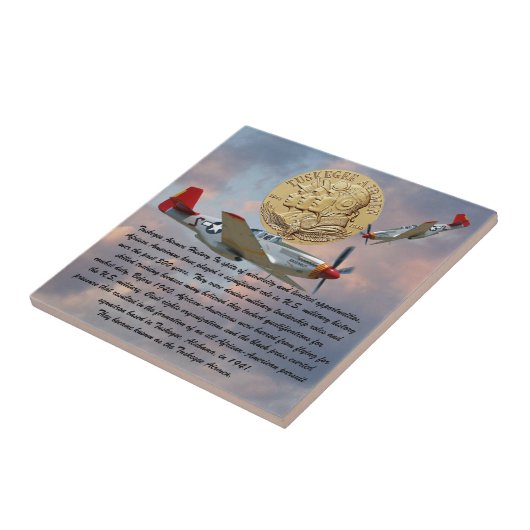 タスケージエアマンコイン タイル (側面)