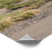 タスコンのビズジェット ポスター (角)