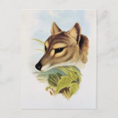 タスマニアのオオカミまたはトラ ポストカード (正面)