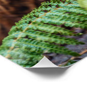 タスマニアの悪魔の出会い ポスター (コーナー)