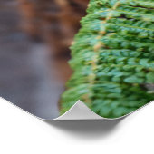 タスマニアの悪魔の出会い ポスター (角)