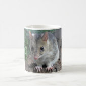 タスマニアのQuoll コーヒーマグカップ (中央)