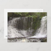 タスマニアオーストラリア滝自然リバーズ ポストカード (正面/裏面)