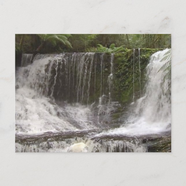 タスマニアオーストラリア滝自然リバーズ ポストカード (正面)
