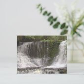 タスマニアオーストラリア滝自然河川 ポストカード (スタンド正面)