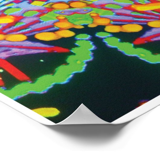 タスマニアキネティックコラージュ万華鏡のように千変万化するパターンポスター ポスター (角)