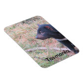 タスマニアデビルフレキシブルマグネット マグネット (右側)