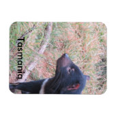 タスマニアデビルフレキシブルマグネット マグネット (横)