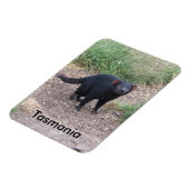 タスマニアデビルフレキシブルマグネット マグネット (左側)